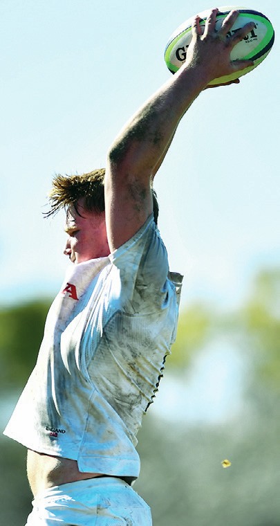 ELLIOTWILLIAMS HARLEQUINS